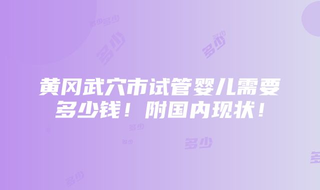 黄冈武穴市试管婴儿需要多少钱！附国内现状！