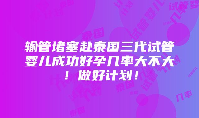 输管堵塞赴泰国三代试管婴儿成功好孕几率大不大！做好计划！