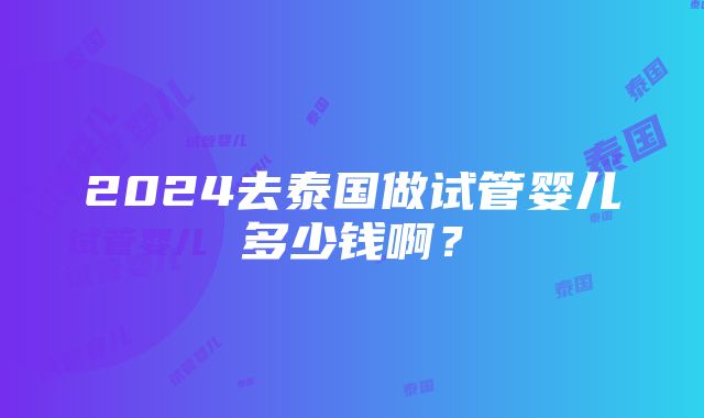 2024去泰国做试管婴儿多少钱啊？