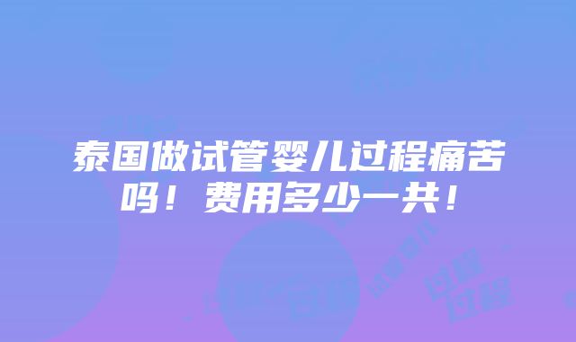 泰国做试管婴儿过程痛苦吗！费用多少一共！