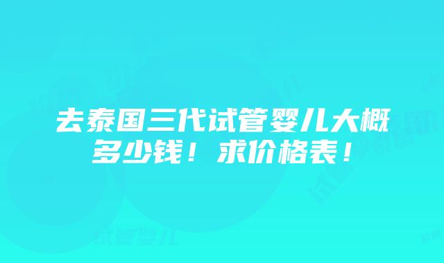 去泰国三代试管婴儿大概多少钱！求价格表！