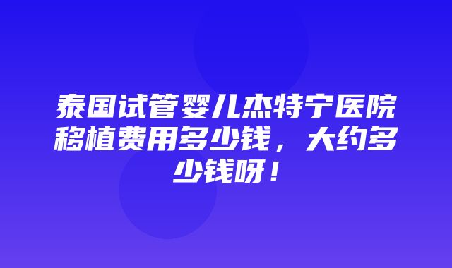 泰国试管婴儿杰特宁医院移植费用多少钱，大约多少钱呀！