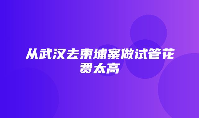 从武汉去柬埔寨做试管花费太高