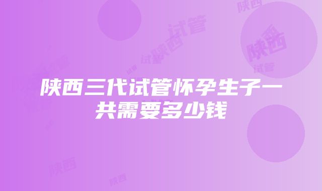 陕西三代试管怀孕生子一共需要多少钱