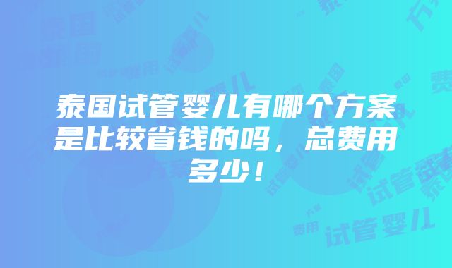 泰国试管婴儿有哪个方案是比较省钱的吗，总费用多少！