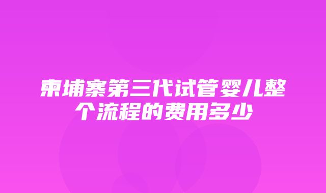 柬埔寨第三代试管婴儿整个流程的费用多少