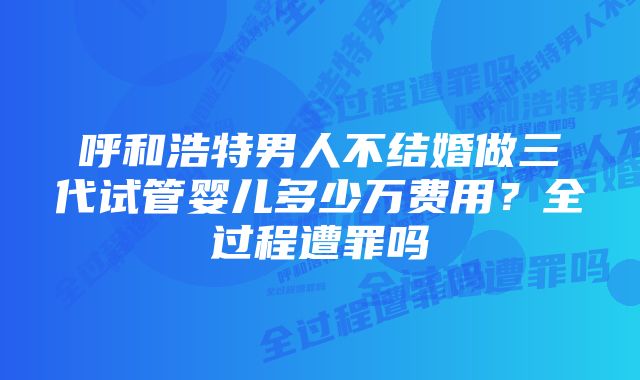 呼和浩特男人不结婚做三代试管婴儿多少万费用？全过程遭罪吗