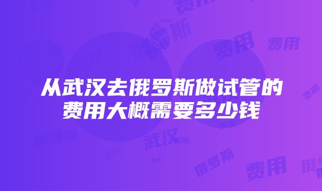 从武汉去俄罗斯做试管的费用大概需要多少钱