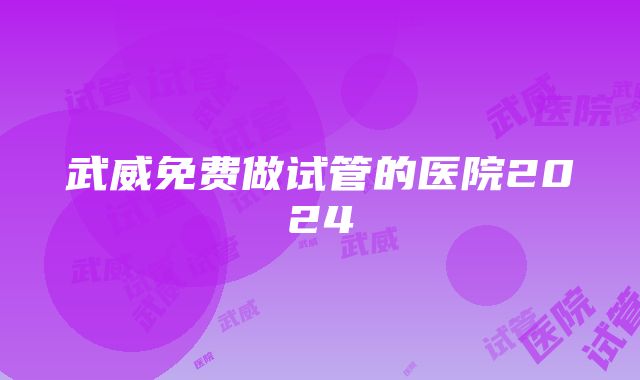 武威免费做试管的医院2024