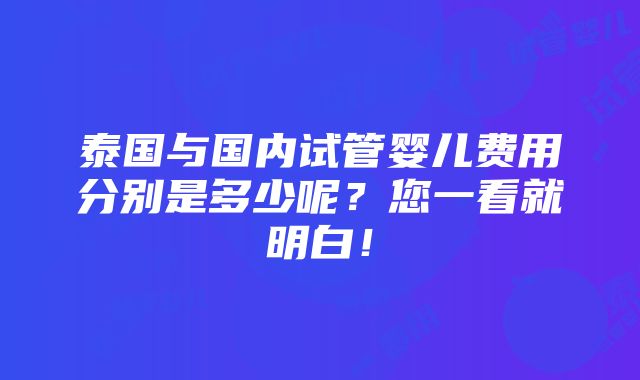 泰国与国内试管婴儿费用分别是多少呢？您一看就明白！