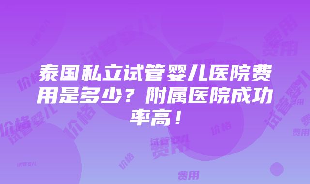 泰国私立试管婴儿医院费用是多少？附属医院成功率高！