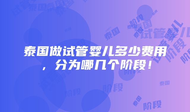 泰国做试管婴儿多少费用，分为哪几个阶段！