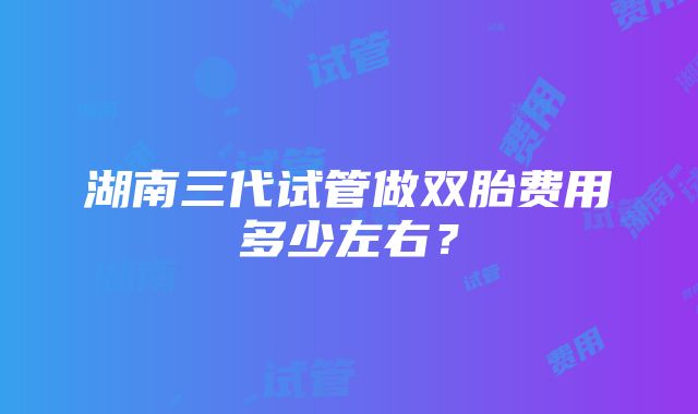 湖南三代试管做双胎费用多少左右？