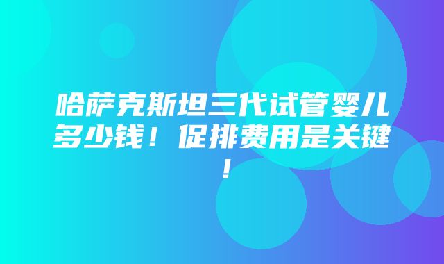 哈萨克斯坦三代试管婴儿多少钱！促排费用是关键！