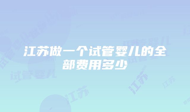 江苏做一个试管婴儿的全部费用多少