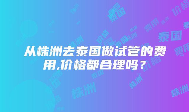 从株洲去泰国做试管的费用,价格都合理吗？