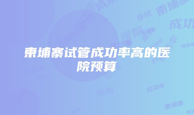 柬埔寨试管成功率高的医院预算