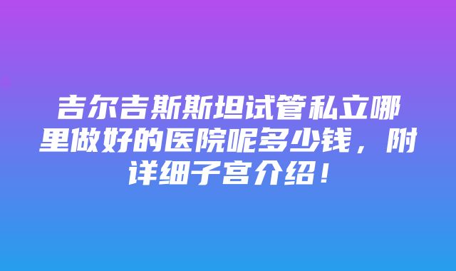 吉尔吉斯斯坦试管私立哪里做好的医院呢多少钱，附详细子宫介绍！