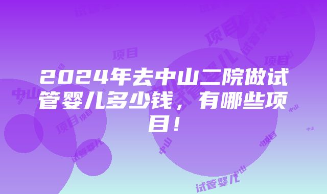 2024年去中山二院做试管婴儿多少钱，有哪些项目！