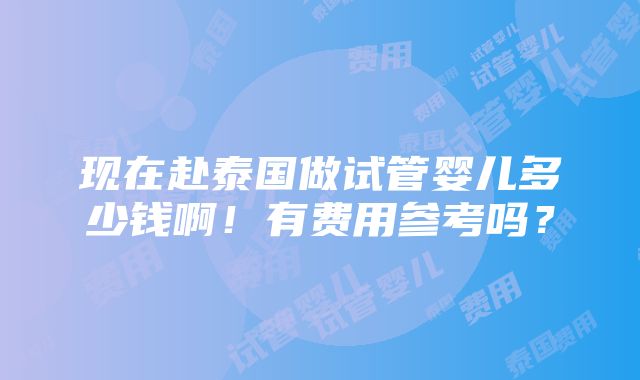 现在赴泰国做试管婴儿多少钱啊！有费用参考吗？