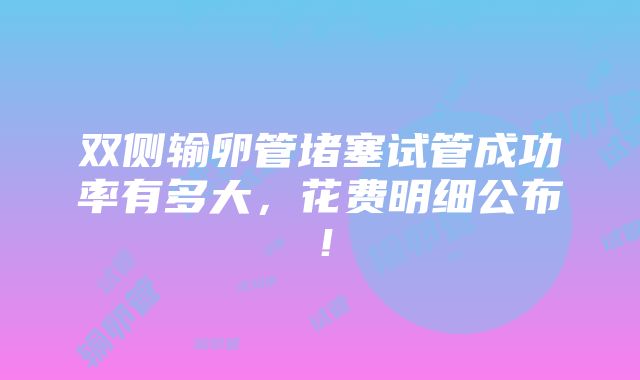 双侧输卵管堵塞试管成功率有多大，花费明细公布！