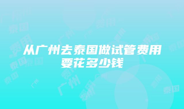 从广州去泰国做试管费用要花多少钱