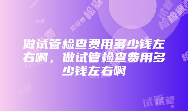 做试管检查费用多少钱左右啊，做试管检查费用多少钱左右啊