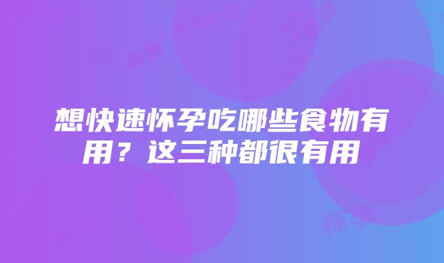 想快速怀孕吃哪些食物有用？这三种都很有用