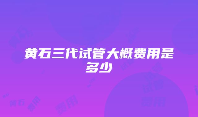 黄石三代试管大概费用是多少