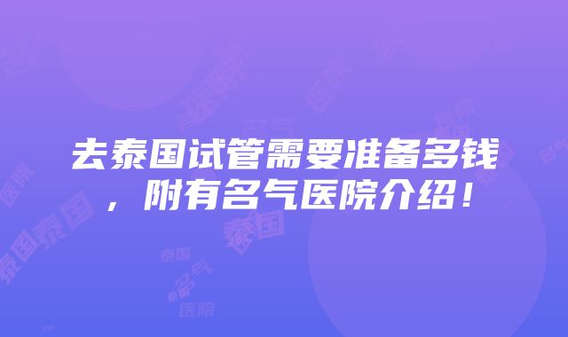 去泰国试管需要准备多钱，附有名气医院介绍！