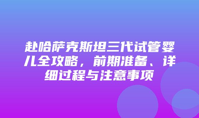 赴哈萨克斯坦三代试管婴儿全攻略，前期准备、详细过程与注意事项