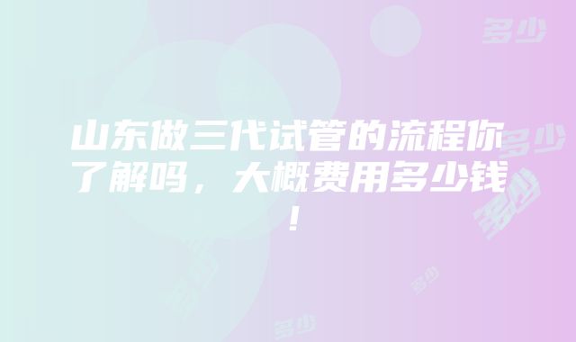 山东做三代试管的流程你了解吗，大概费用多少钱！