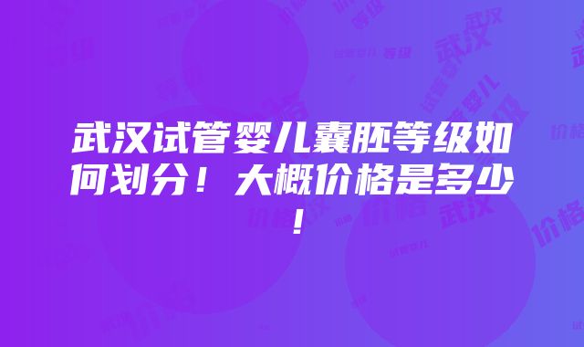 武汉试管婴儿囊胚等级如何划分！大概价格是多少！