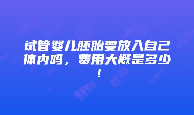 试管婴儿胚胎要放入自己体内吗，费用大概是多少！