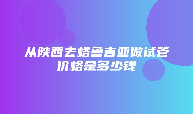 从陕西去格鲁吉亚做试管价格是多少钱