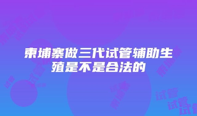 柬埔寨做三代试管辅助生殖是不是合法的