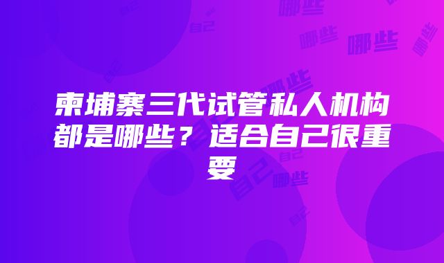 柬埔寨三代试管私人机构都是哪些？适合自己很重要