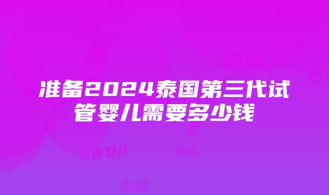 准备2024泰国第三代试管婴儿需要多少钱