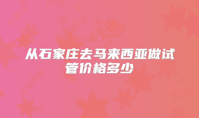 从石家庄去马来西亚做试管价格多少