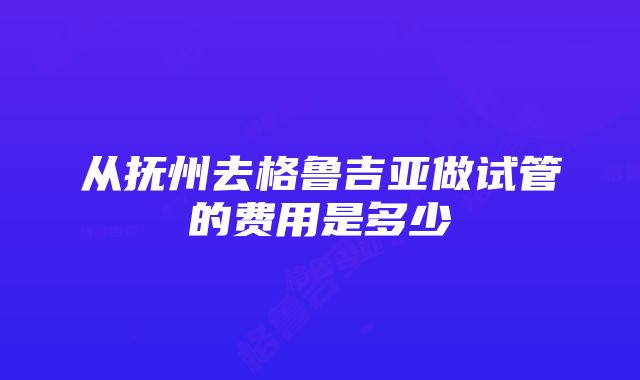 从抚州去格鲁吉亚做试管的费用是多少