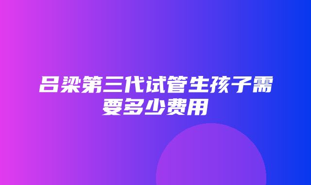 吕梁第三代试管生孩子需要多少费用