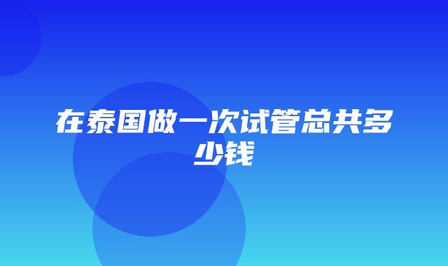 在泰国做一次试管总共多少钱