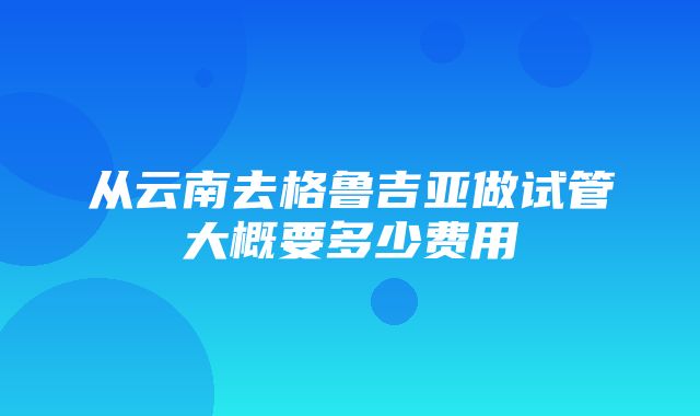 从云南去格鲁吉亚做试管大概要多少费用