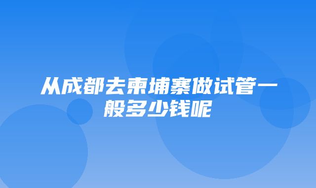 从成都去柬埔寨做试管一般多少钱呢