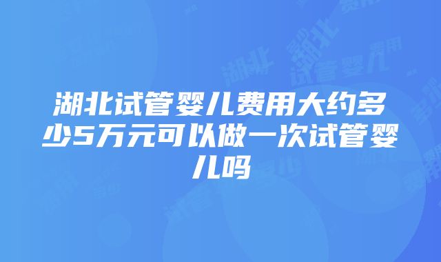 湖北试管婴儿费用大约多少5万元可以做一次试管婴儿吗