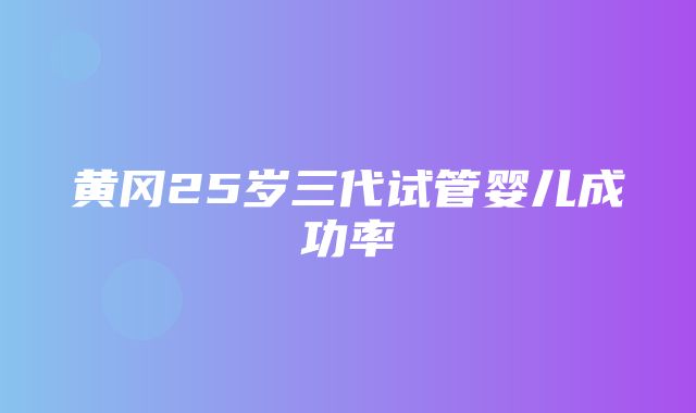 黄冈25岁三代试管婴儿成功率