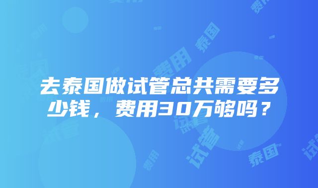 去泰国做试管总共需要多少钱，费用30万够吗？