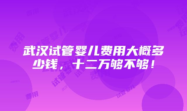 武汉试管婴儿费用大概多少钱，十二万够不够！