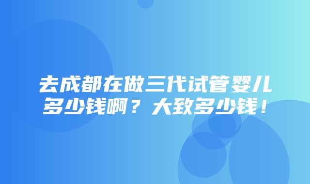 去成都在做三代试管婴儿多少钱啊？大致多少钱！