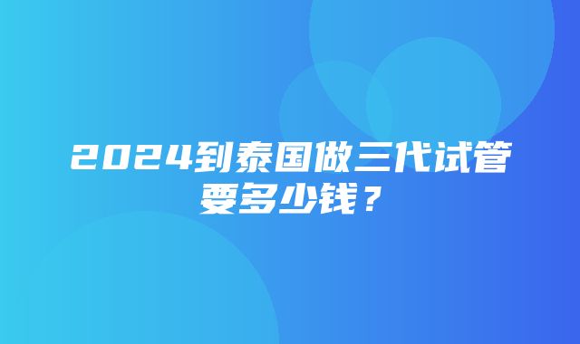 2024到泰国做三代试管要多少钱？